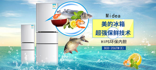 威斯康星大学在线分校社会学文凭证书